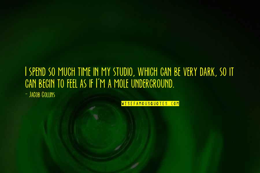 Hotlyt Quotes By Jacob Collins: I spend so much time in my studio, Hotlyt Quotes By Jacob Collins: I spend so much time in my studio,