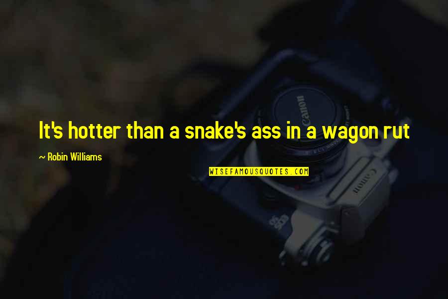 Hotter Than Quotes By Robin Williams: It's hotter than a snake's ass in a