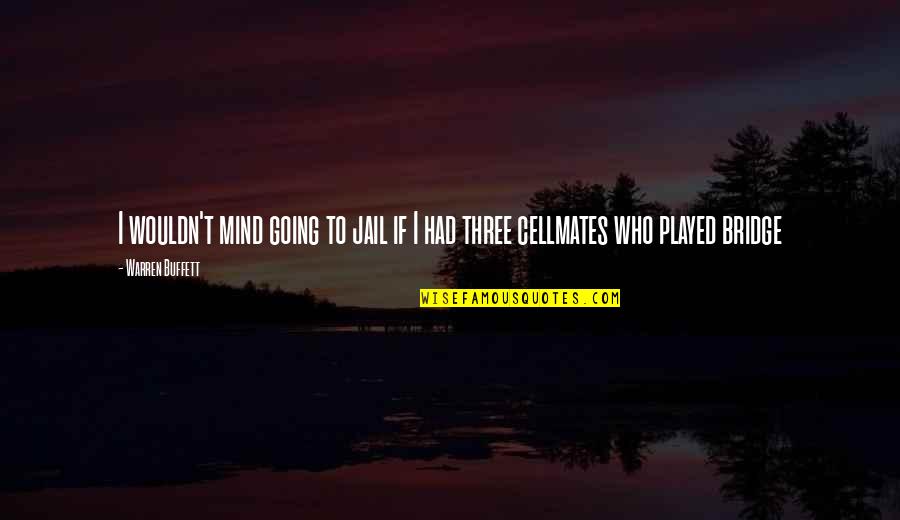 Hoturmex Quotes By Warren Buffett: I wouldn't mind going to jail if I