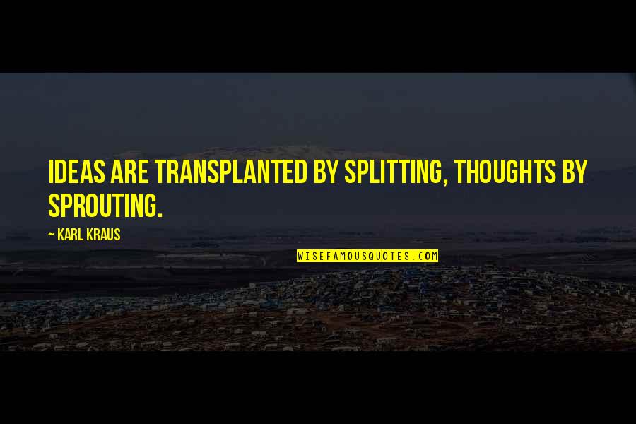 Houbrechts Plastiek Quotes By Karl Kraus: Ideas are transplanted by splitting, thoughts by sprouting.