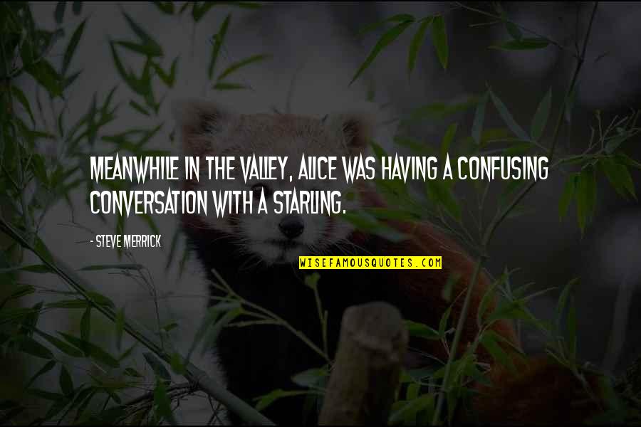 Houbrechts Plastiek Quotes By Steve Merrick: Meanwhile in the valley, Alice was having a