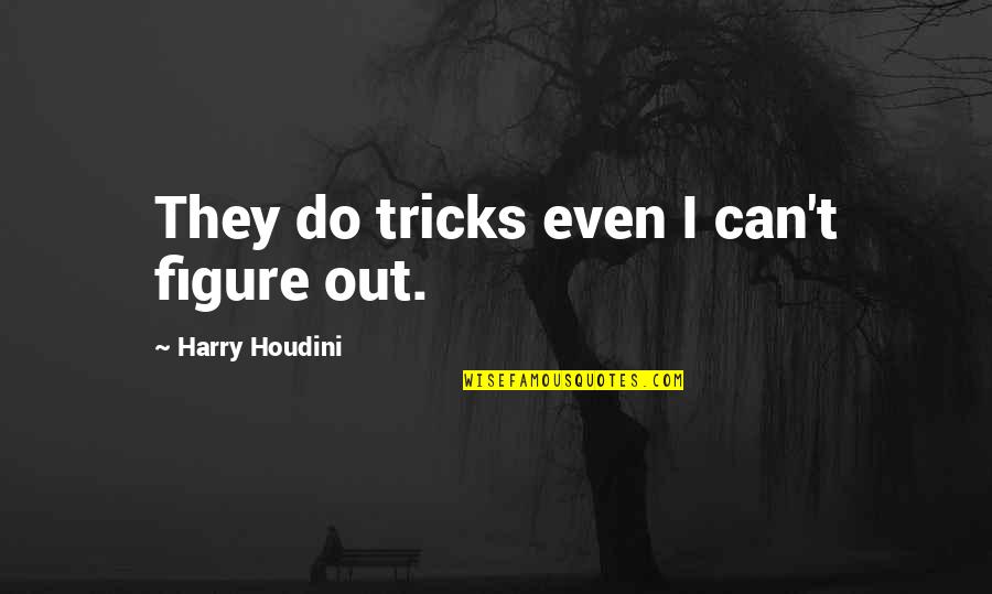Houdini Quotes By Harry Houdini: They do tricks even I can't figure out.