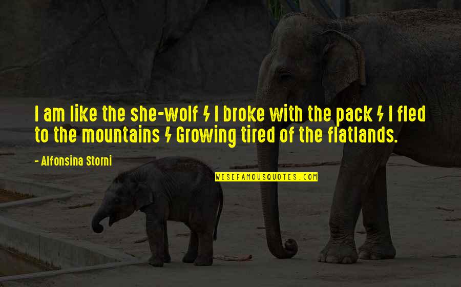 Houdinis Escape Quotes By Alfonsina Storni: I am like the she-wolf / I broke