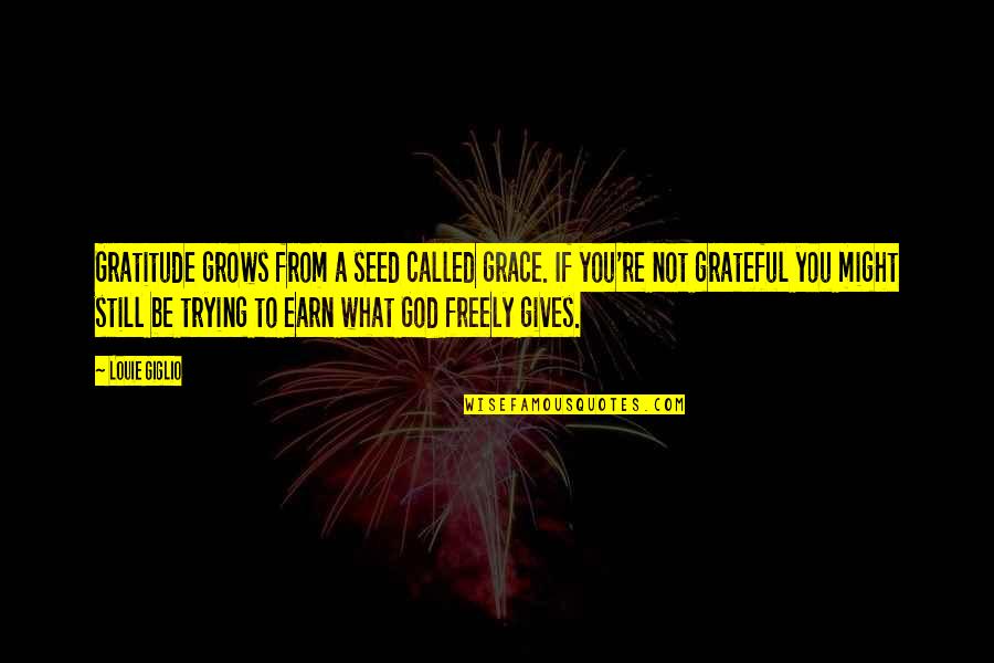 Houds Quotes By Louie Giglio: Gratitude grows from a seed called grace. If