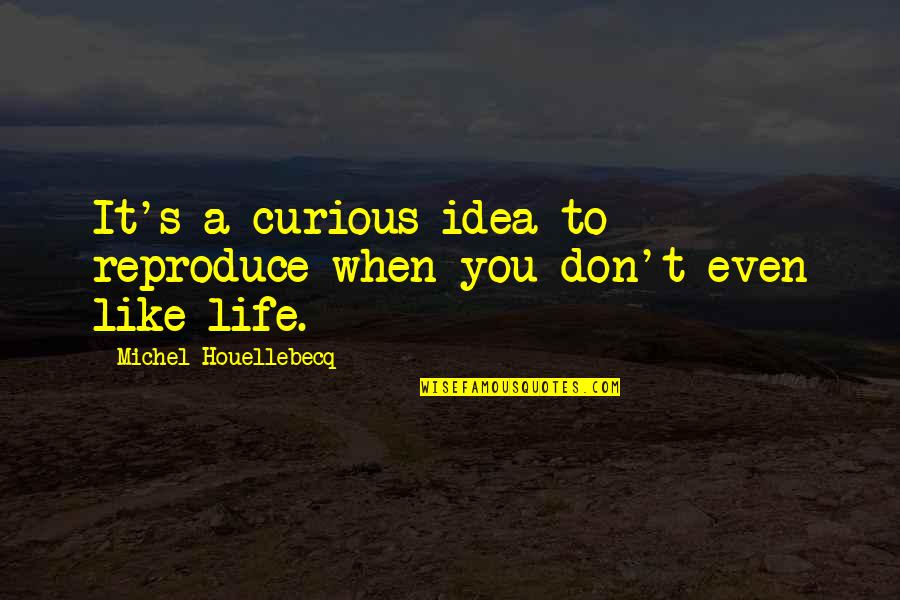 Houellebecq Quotes By Michel Houellebecq: It's a curious idea to reproduce when you Houellebecq Quotes By Michel Houellebecq: It's a curious idea to reproduce when you