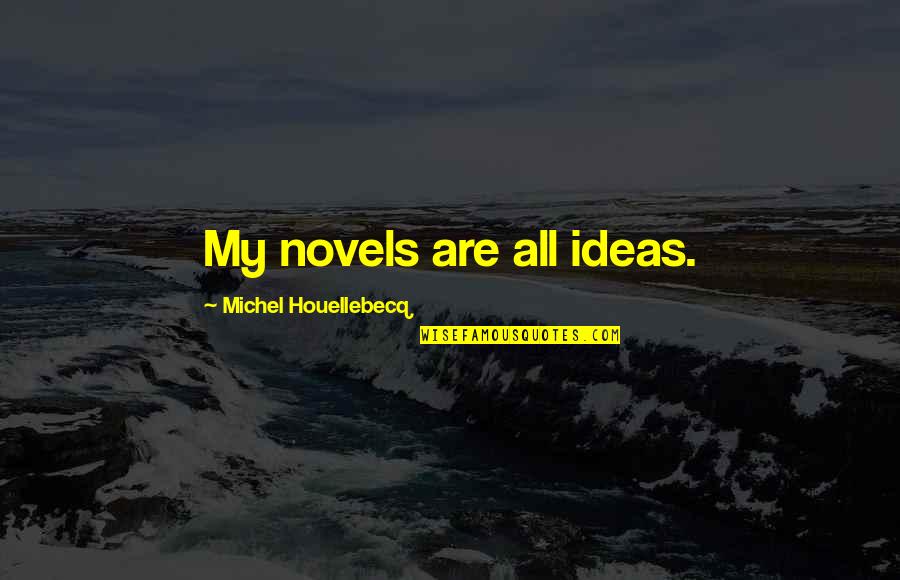 Houellebecq Quotes By Michel Houellebecq: My novels are all ideas.