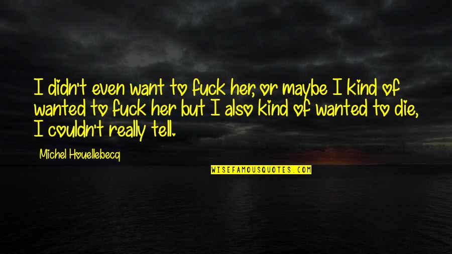 Houellebecq Quotes By Michel Houellebecq: I didn't even want to fuck her, or Houellebecq Quotes By Michel Houellebecq: I didn't even want to fuck her, or