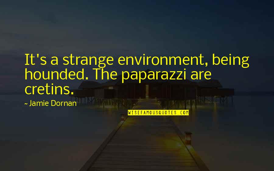Hounded Quotes By Jamie Dornan: It's a strange environment, being hounded. The paparazzi