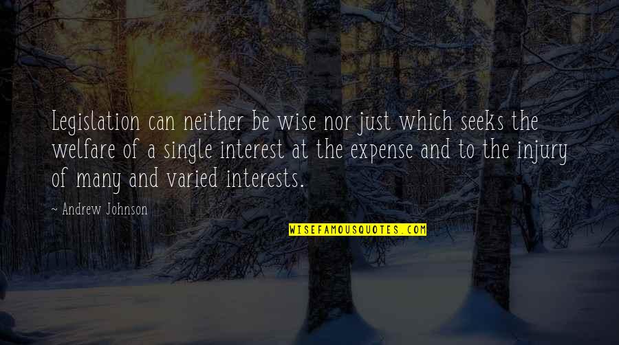 Hounding In Tagalog Quotes By Andrew Johnson: Legislation can neither be wise nor just which Hounding In Tagalog Quotes By Andrew Johnson: Legislation can neither be wise nor just which