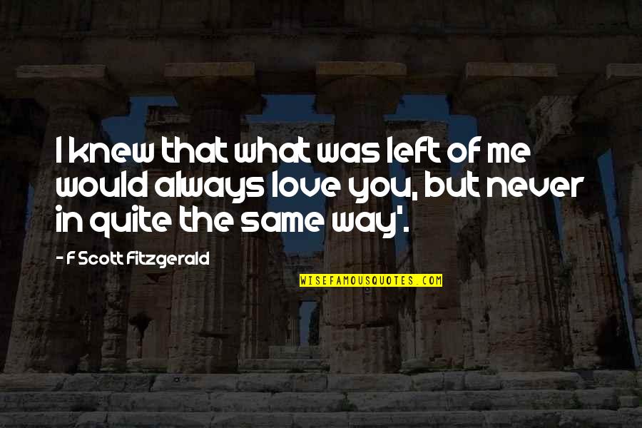 Houpis Weisberg Quotes By F Scott Fitzgerald: I knew that what was left of me