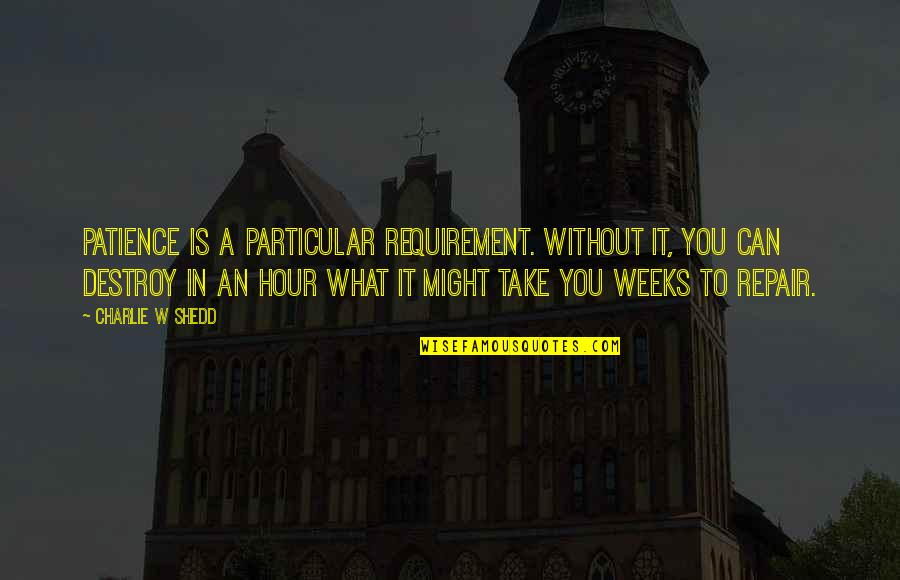 Hour What Quotes By Charlie W Shedd: Patience is a particular requirement. Without it, you