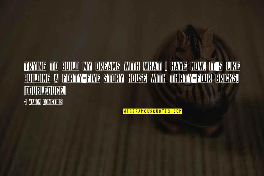 House Build Quotes By Aaron Cometbus: Trying to build my dreams with what I
