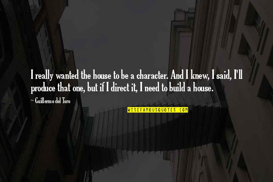House Build Quotes By Guillermo Del Toro: I really wanted the house to be a
