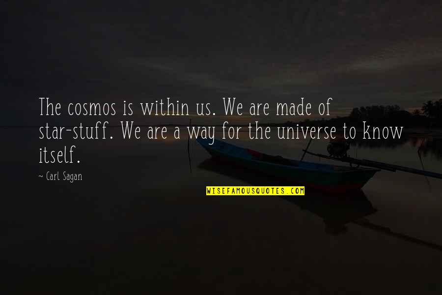 House Cleaner Quotes By Carl Sagan: The cosmos is within us. We are made