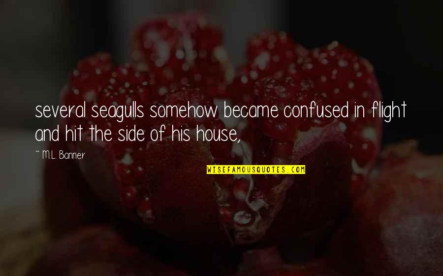 House His Quotes By M.L. Banner: several seagulls somehow became confused in flight and