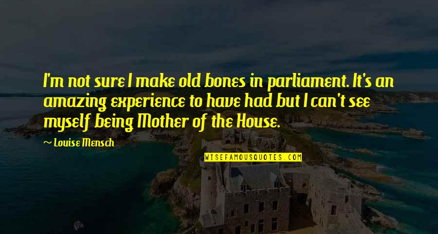 House Mother Quotes By Louise Mensch: I'm not sure I make old bones in House Mother Quotes By Louise Mensch: I'm not sure I make old bones in