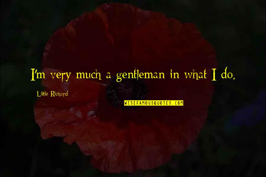House No Reason Quotes By Little Richard: I'm very much a gentleman in what I