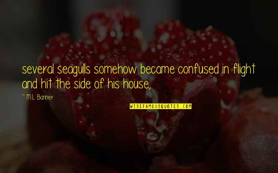 House Of M Quotes By M.L. Banner: several seagulls somehow became confused in flight and