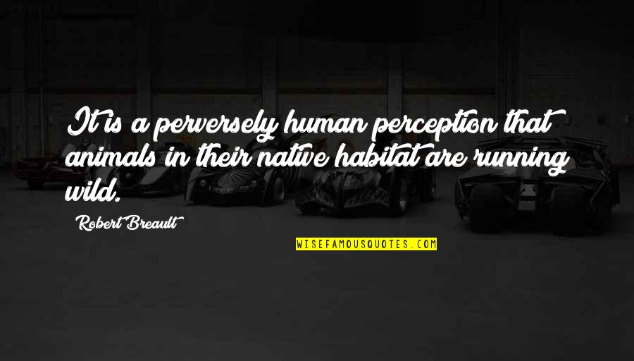 House Of Mirth Book 2 Quotes By Robert Breault: It is a perversely human perception that animals House Of Mirth Book 2 Quotes By Robert Breault: It is a perversely human perception that animals
