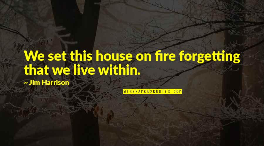 House On Fire Quotes By Jim Harrison: We set this house on fire forgetting that House On Fire Quotes By Jim Harrison: We set this house on fire forgetting that