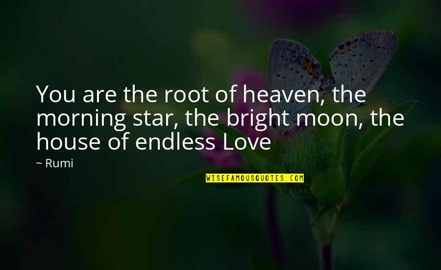 House On Moon Quotes By Rumi: You are the root of heaven, the morning