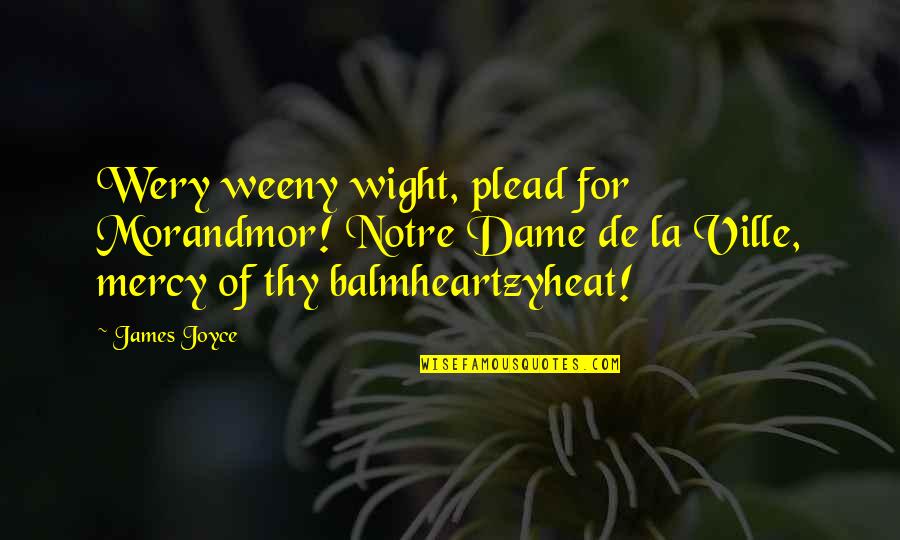 House Painters Quotes By James Joyce: Wery weeny wight, plead for Morandmor! Notre Dame