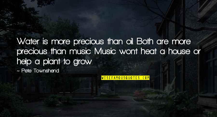 House Plant Quotes By Pete Townshend: Water is more precious than oil. Both are