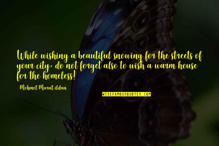 House Quotes And Quotes By Mehmet Murat Ildan: While wishing a beautiful snowing for the streets