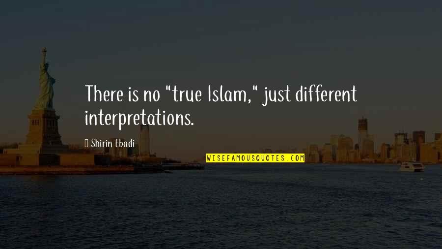 House Stacy Quotes By Shirin Ebadi: There is no "true Islam," just different interpretations.