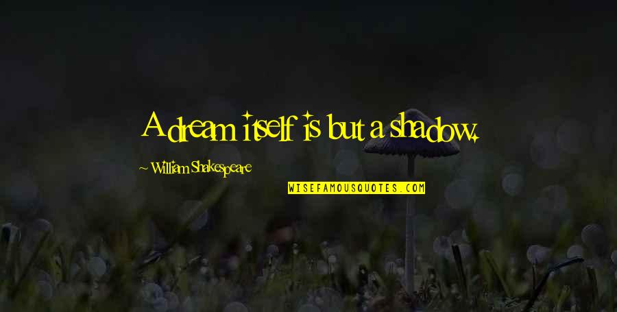 House Stayed Up All Night Quotes By William Shakespeare: A dream itself is but a shadow.