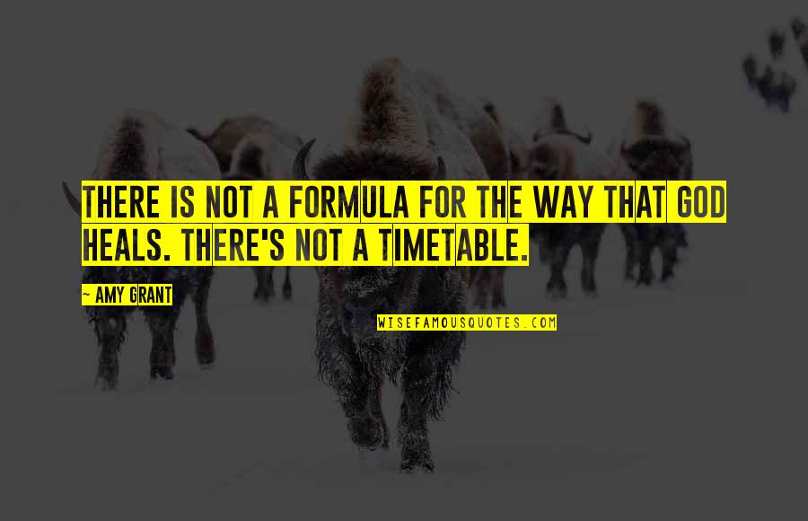 Houseboys Craigslist Quotes By Amy Grant: There is not a formula for the way