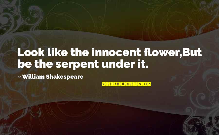 Housewares Store Quotes By William Shakespeare: Look like the innocent flower,But be the serpent Housewares Store Quotes By William Shakespeare: Look like the innocent flower,But be the serpent
