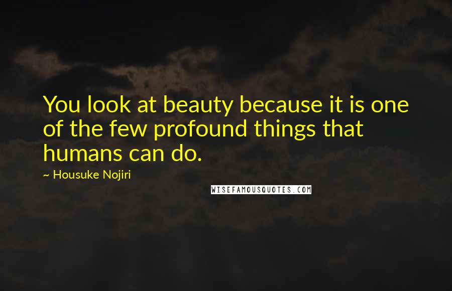 Housuke Nojiri quotes: You look at beauty because it is one of the few profound things that humans can do.