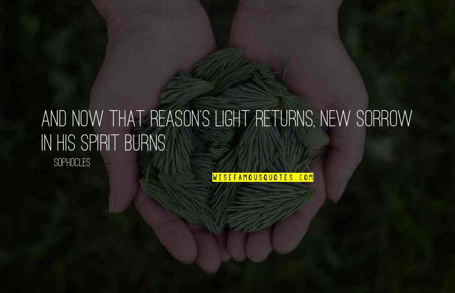 Hovertrax Quotes By Sophocles: And now that Reason's light returns, New sorrow