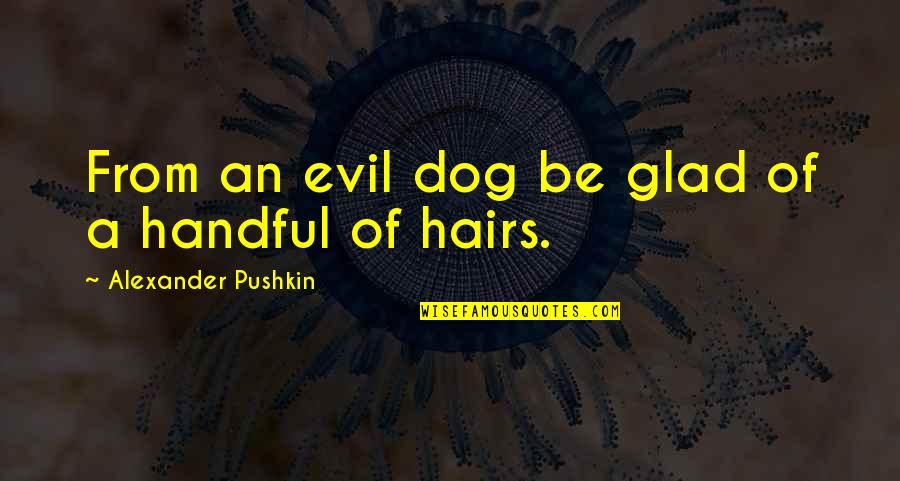 Hovestadt Quotes By Alexander Pushkin: From an evil dog be glad of a