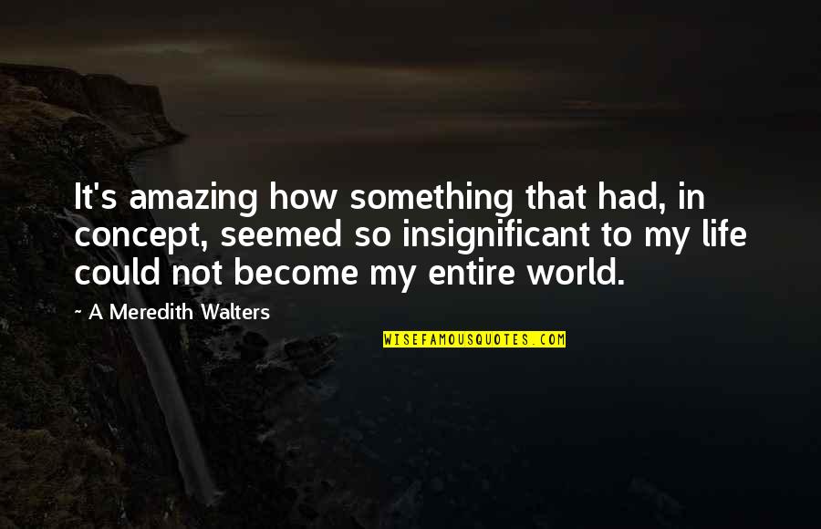 How Amazing Is Life Quotes By A Meredith Walters: It's amazing how something that had, in concept, How Amazing Is Life Quotes By A Meredith Walters: It's amazing how something that had, in concept,