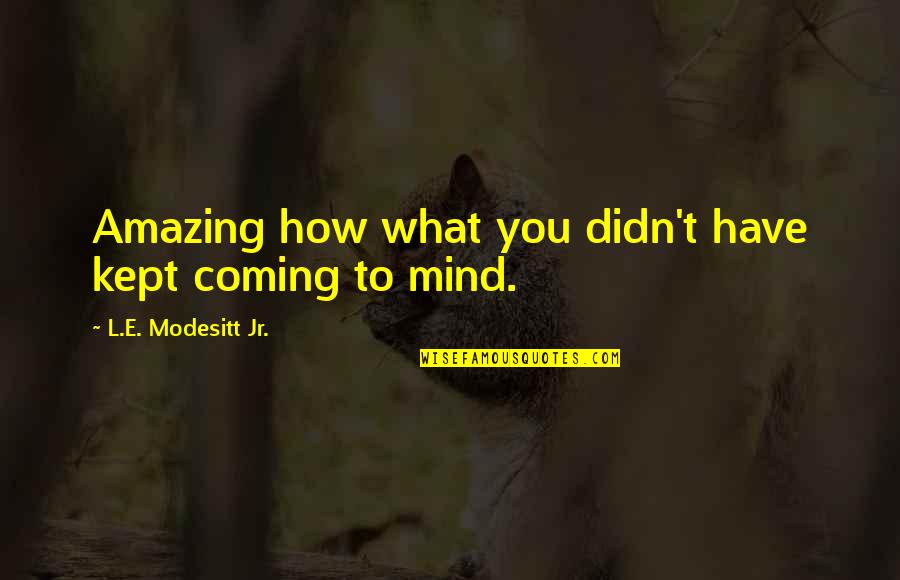 How Amazing Quotes By L.E. Modesitt Jr.: Amazing how what you didn't have kept coming