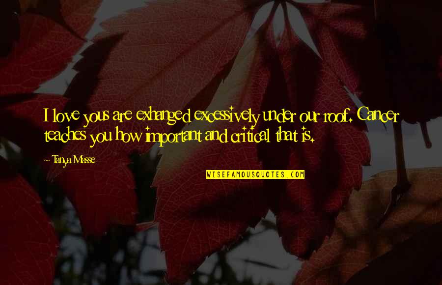 How Are You Love Quotes By Tanya Masse: I love yous are exhanged excessively under our