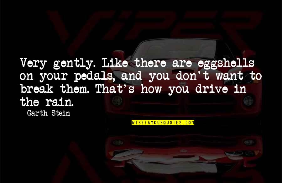 How Are You There Quotes By Garth Stein: Very gently. Like there are eggshells on your How Are You There Quotes By Garth Stein: Very gently. Like there are eggshells on your