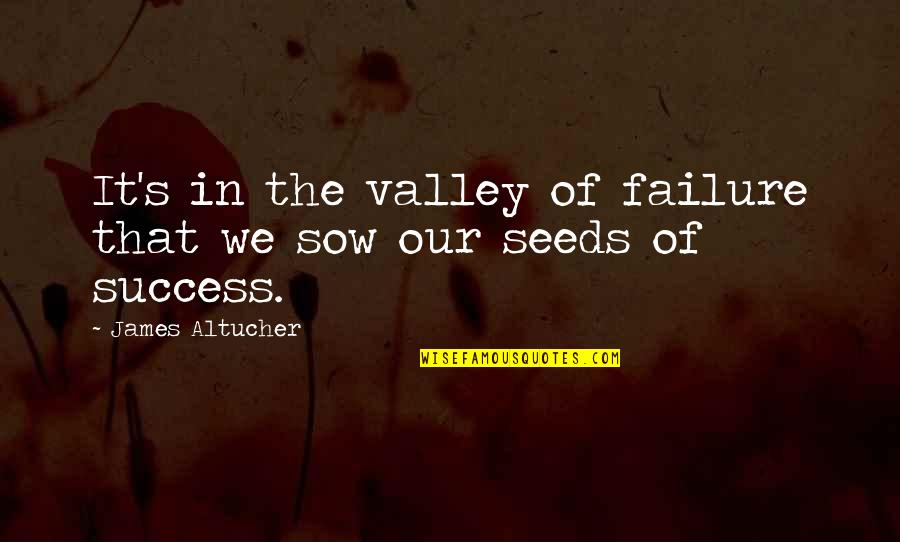 How Art Heals Quotes By James Altucher: It's in the valley of failure that we