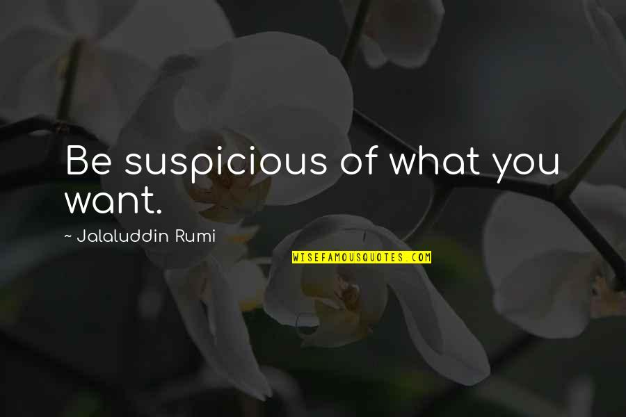 How Beautiful Her Smile Is Quotes By Jalaluddin Rumi: Be suspicious of what you want.