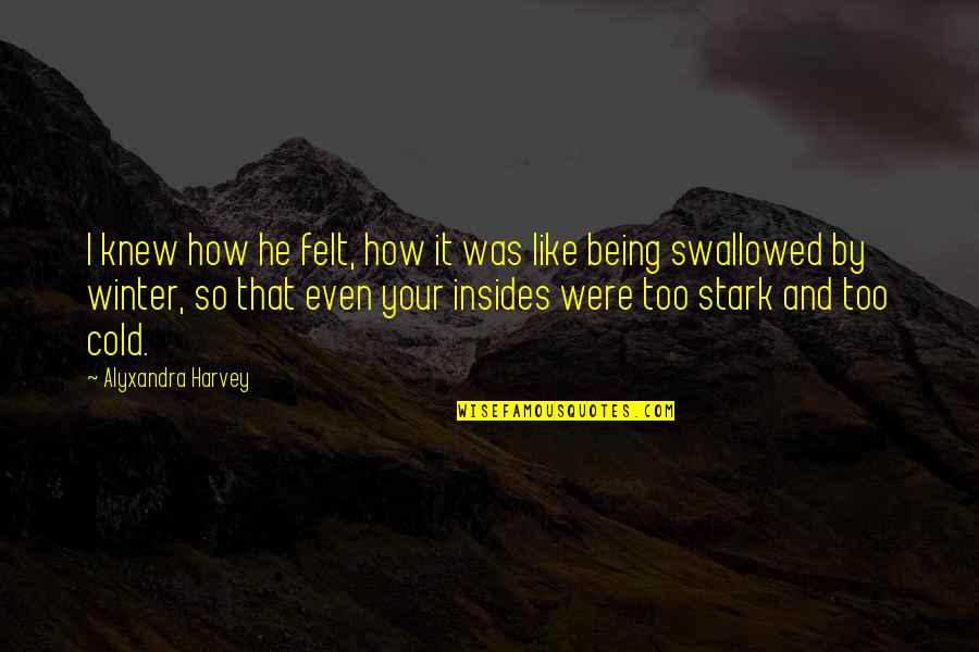 How Cold Is It Quotes By Alyxandra Harvey: I knew how he felt, how it was