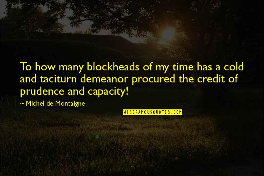 How Cold Is It Quotes By Michel De Montaigne: To how many blockheads of my time has