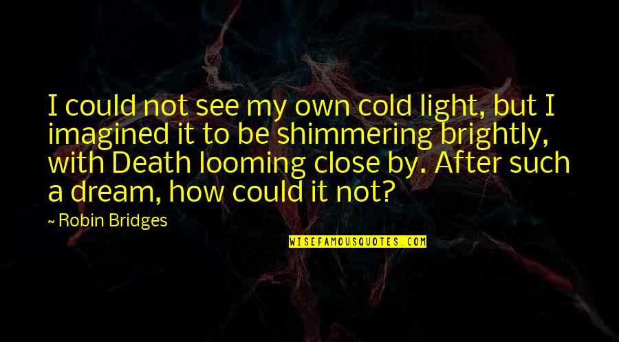 How Cold Is It Quotes By Robin Bridges: I could not see my own cold light,