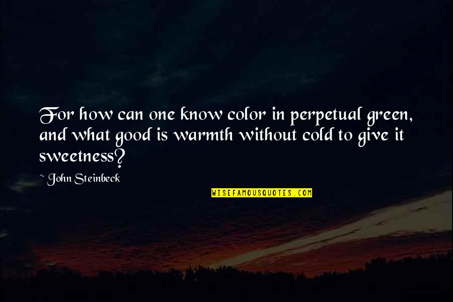 How Cold It Is Quotes By John Steinbeck: For how can one know color in perpetual