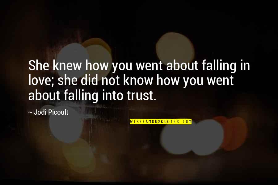 How Did I Love You Quotes By Jodi Picoult: She knew how you went about falling in