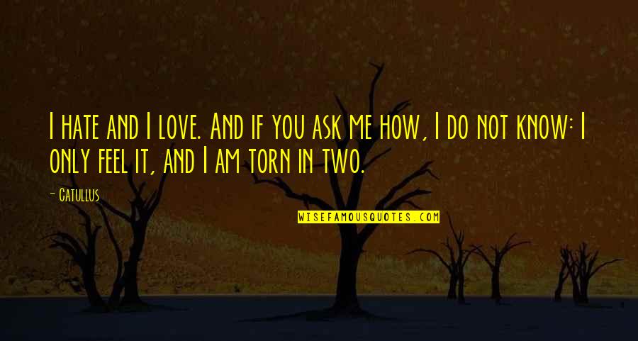 How Do I Know You Love Me Quotes By Catullus: I hate and I love. And if you