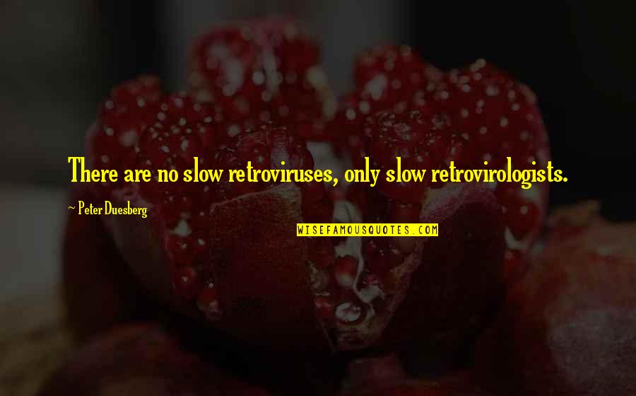 How Do I Retrieve A Progressive Quotes By Peter Duesberg: There are no slow retroviruses, only slow retrovirologists.
