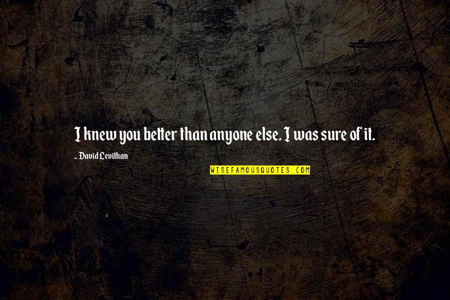 How Do I Stop Loving You Quotes By David Levithan: I knew you better than anyone else. I