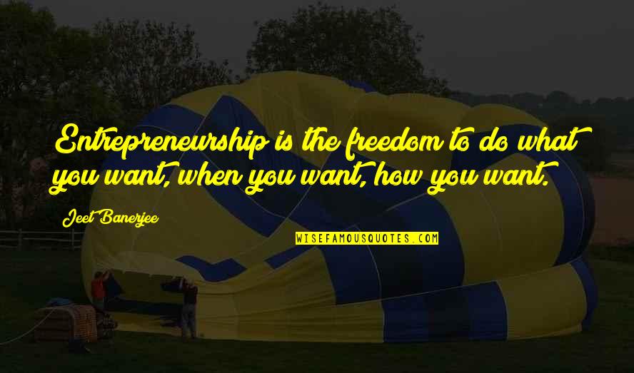 How Do You Do Quotes By Jeet Banerjee: Entrepreneurship is the freedom to do what you